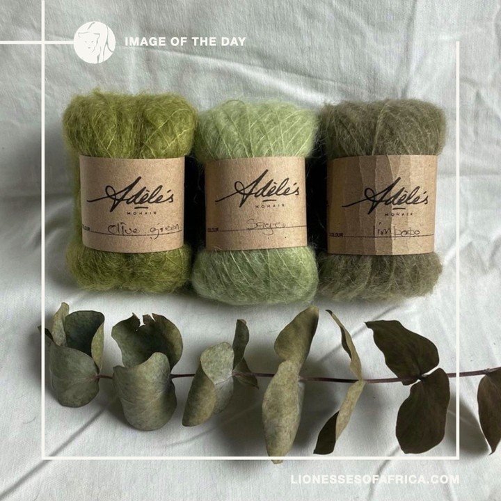 Image of the Day / Adele&rsquo;s Mohair

Luxury yarns&hellip;Lovers of fine mohair will adore these beautiful, luxury yarns, courtesy of Adele&rsquo;s Mohair, founded by Adele Cutten in the Eastern Cape of South Africa. She has built a highly success
