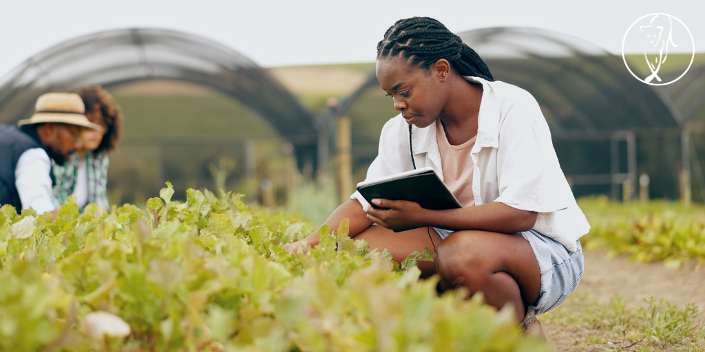 The Impact of Female-Owned Businesses and How They Contribute to Food Security in Africa
