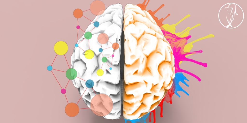 Chroma-preneurship: The Secret Palette of Business Success