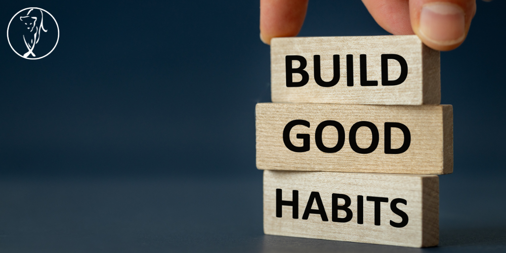 “Motivation is what gets you started. Habit is what keeps you going” - Jim Ryun
