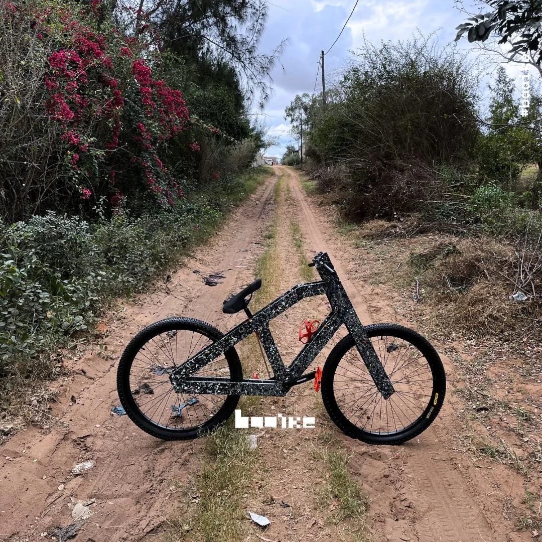 B8.jpg