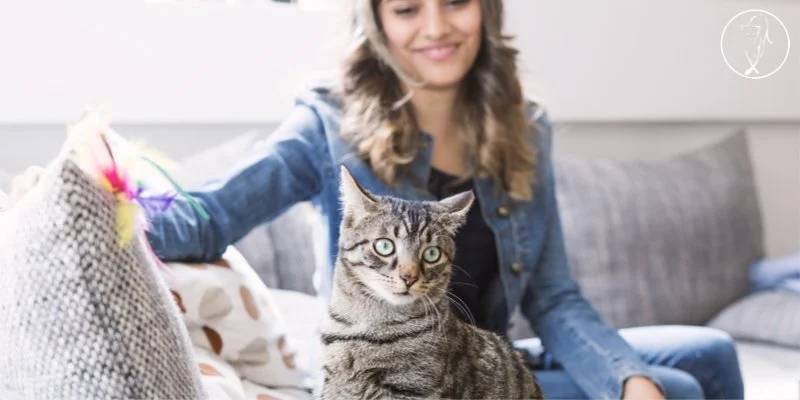 Screen your house and pet sitters