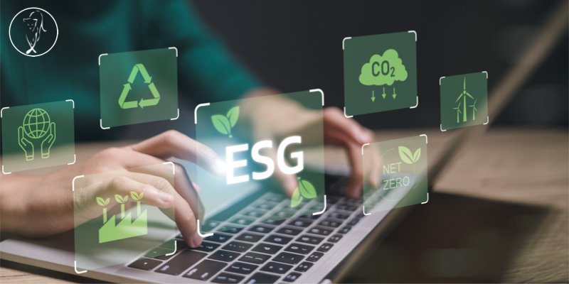Bridging the ESG Knowledge Gap: 5 Key Metrics Every Board Should Use to Assess and Improve ESG Performance