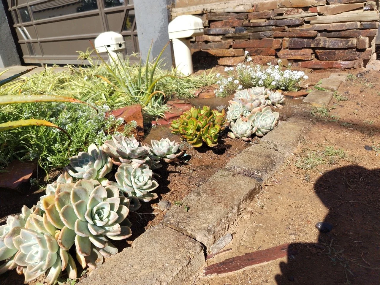 WhatsApp Image 2025-06-28 at 01.39.22_07dce6fb Large.jpeg