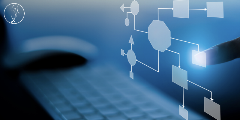 Business Growth: Processes That Enable SMEs to Scale Sustainably