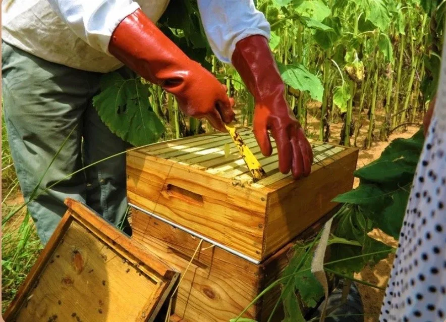 Screenshot 2025-07-24 at 9.28.08 PM Large.jpeg