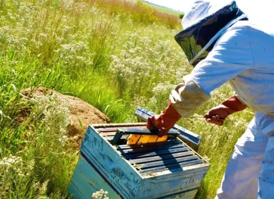 Screenshot 2025-07-24 at 9.28.16 PM Large.jpeg