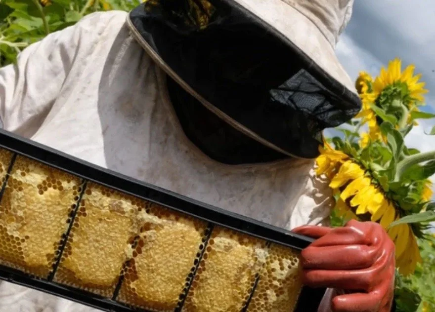 Screenshot 2025-07-24 at 9.28.23 PM Large.jpeg