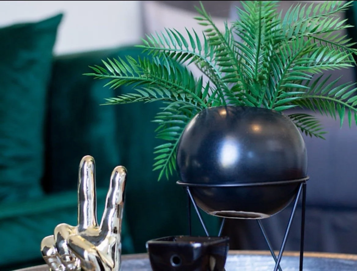 Screenshot 2025-07-27 at 9.16.27 AM Large.jpeg