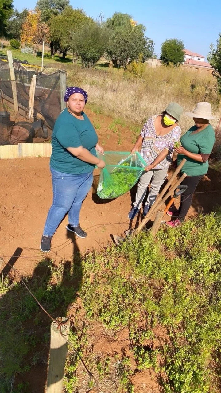 HandingOverSeedlings2 Large.jpeg