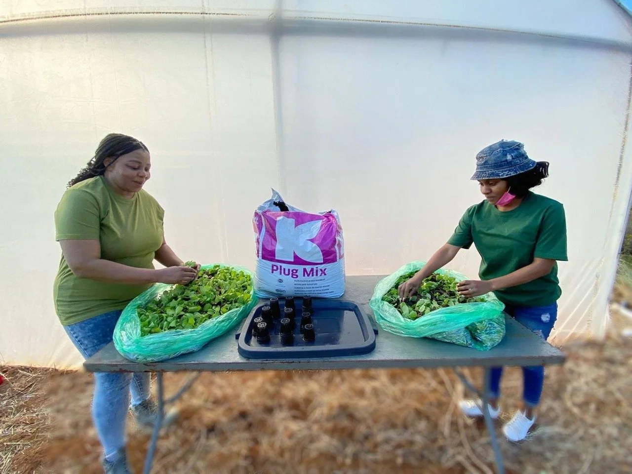 Phindi&SharleneTransplanting Large.jpeg