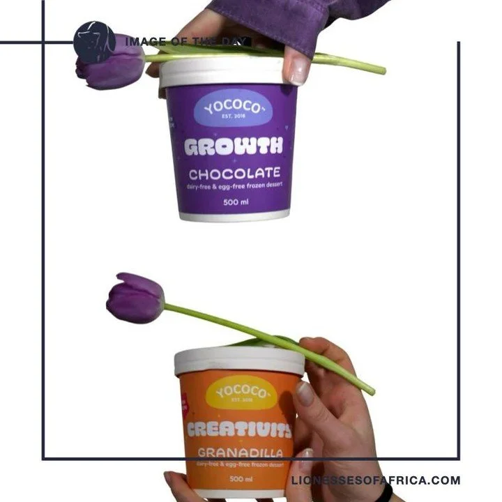 Image of the Day / Yococo

Vegan ice-cream heaven&hellip;If you are ice cream lovers like we are here at Lionesses of Africa, you will love the vegan ice cream from Yococo in South Africa, created by the talented Sinenhlanhla Ndlela. She is proving t