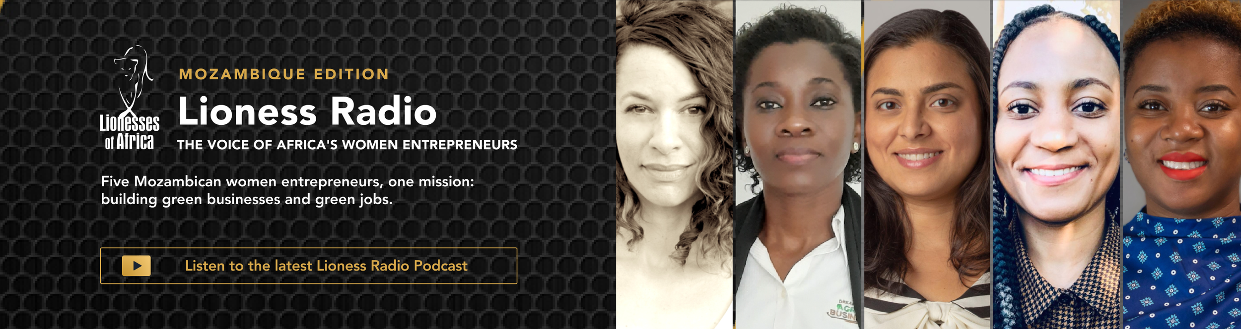 Lioness-Radio-2025–Mozambique Edition.png