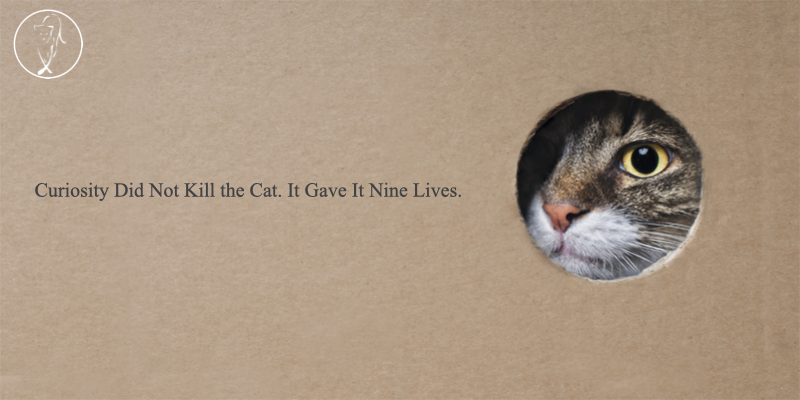 Curiosity Did Not Kill the Cat. It Gave It Nine Lives.
