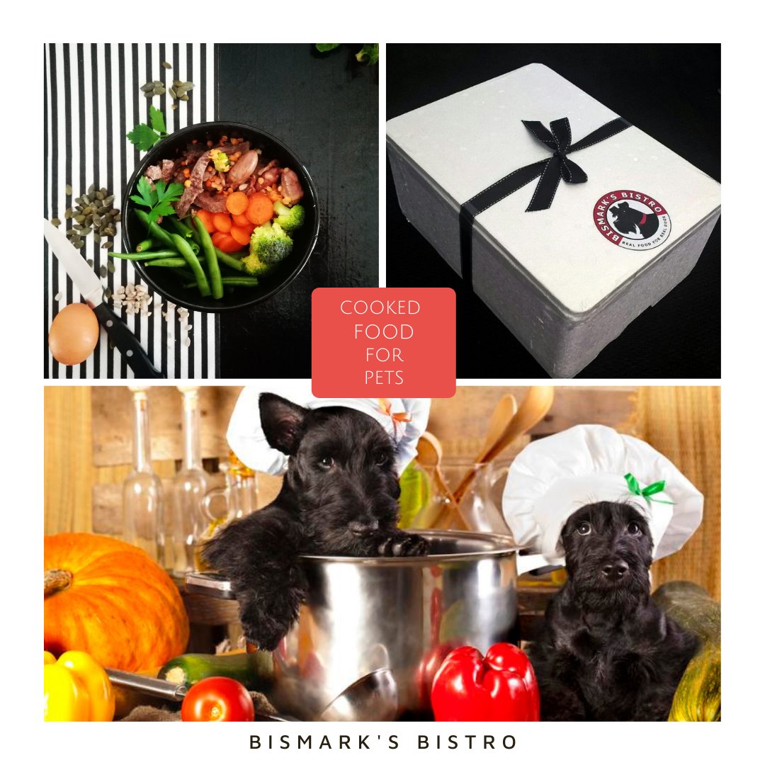 Mzansi has a catering business for pets!, EntertainmentSA News South Africa