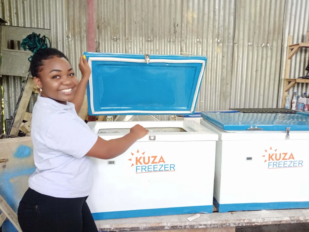 Purity Gakuo, a Kenyan entrepreneur making refrigeration affordable to smallscale fishers in