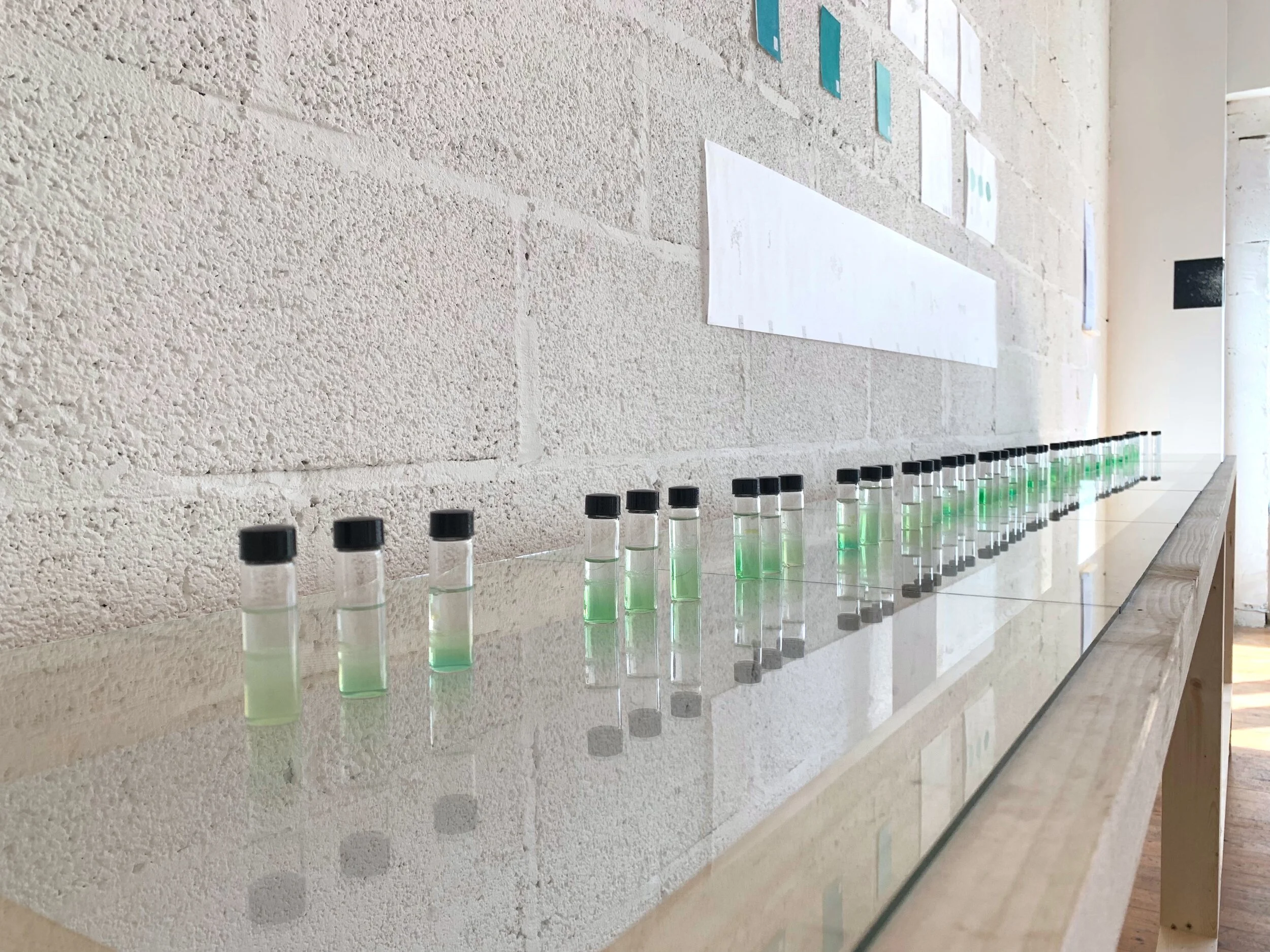  “19 Days” DNA extractions, mood log, drawings.  