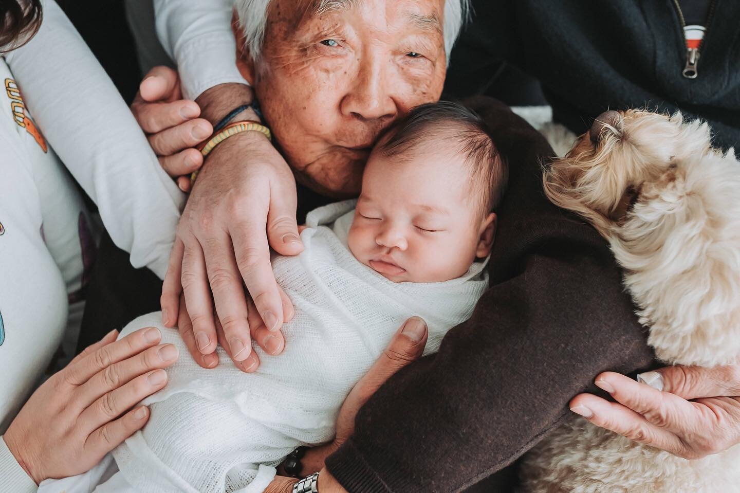 I often get asked if Grandparents can come for the session. I say absolutely!
Sweet Matilda was lucky enough to have Grandparents and Great Grandfather join the fun. So special to see her surrounded by all that love 💕💕💕

#family #memories #generat