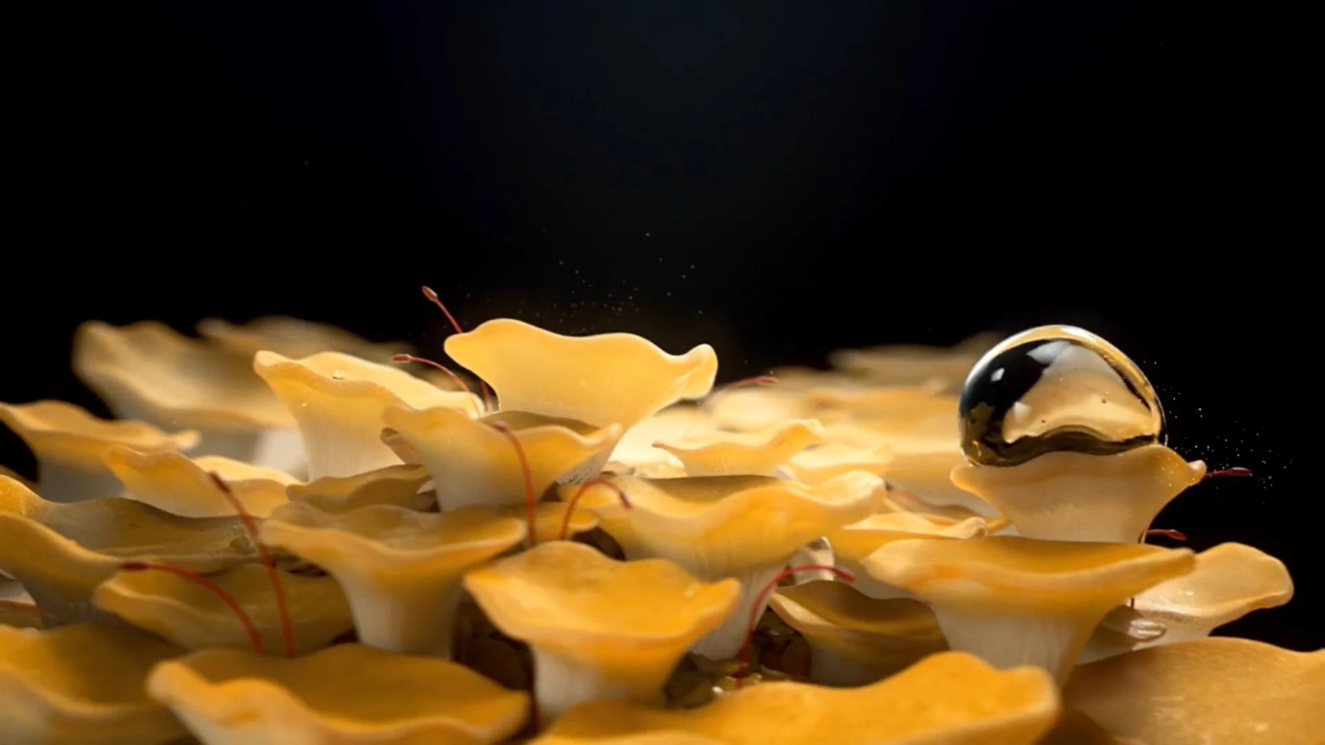 coverImage.jpg