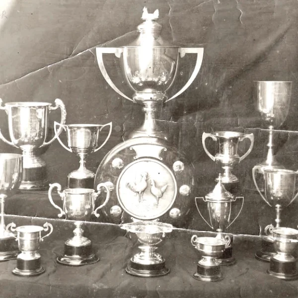 TROPHY_MODELS.jpg