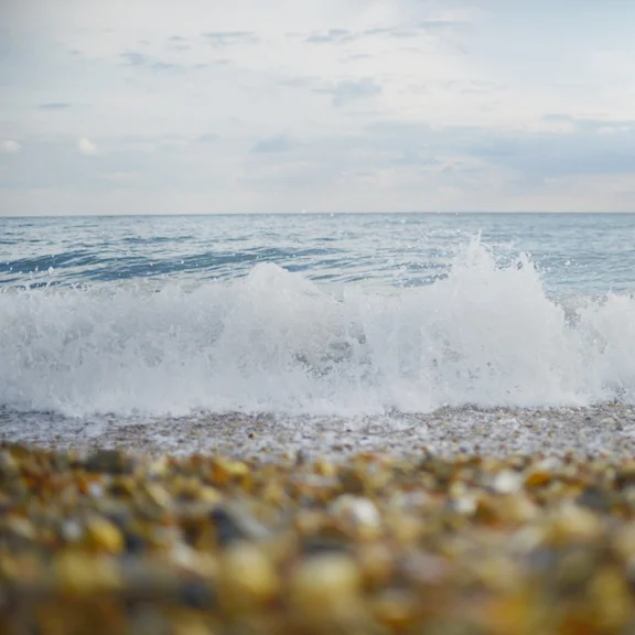 calshotbeach.jpg