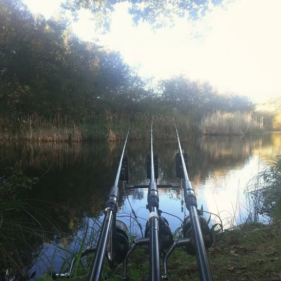 mopleypond2.jpg