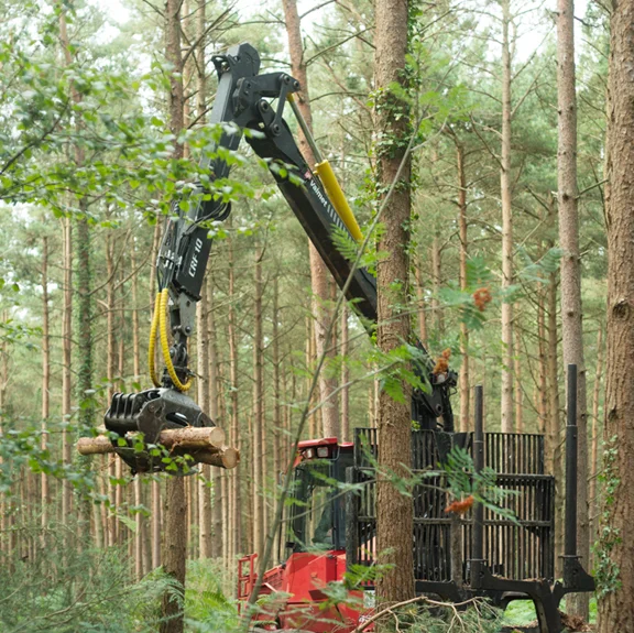 wood.jpg