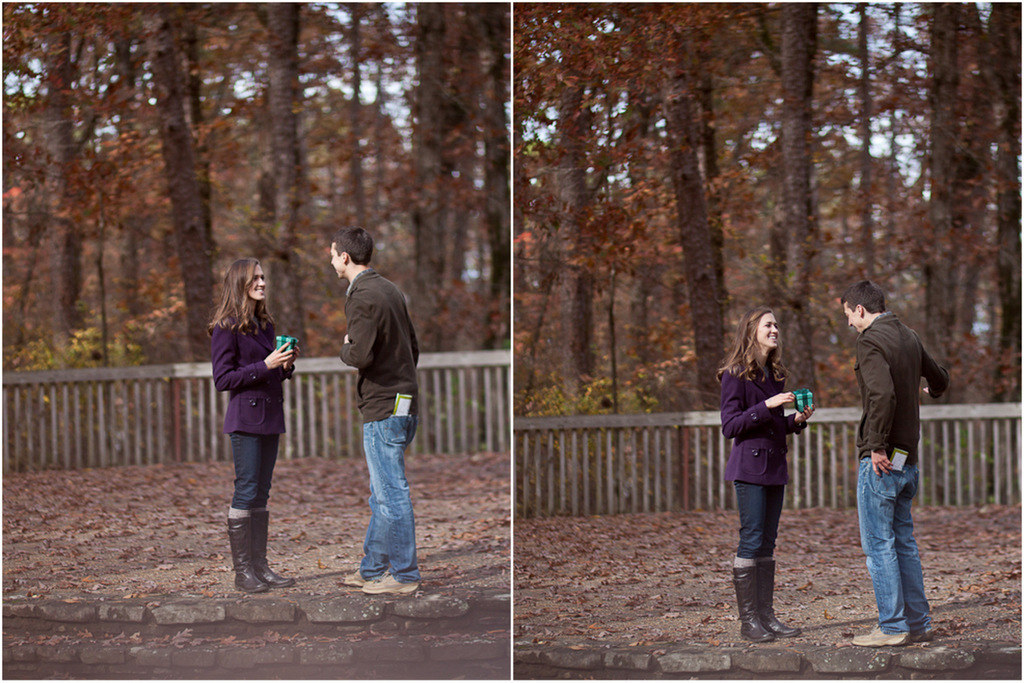 proposal danny + ariel5.jpg