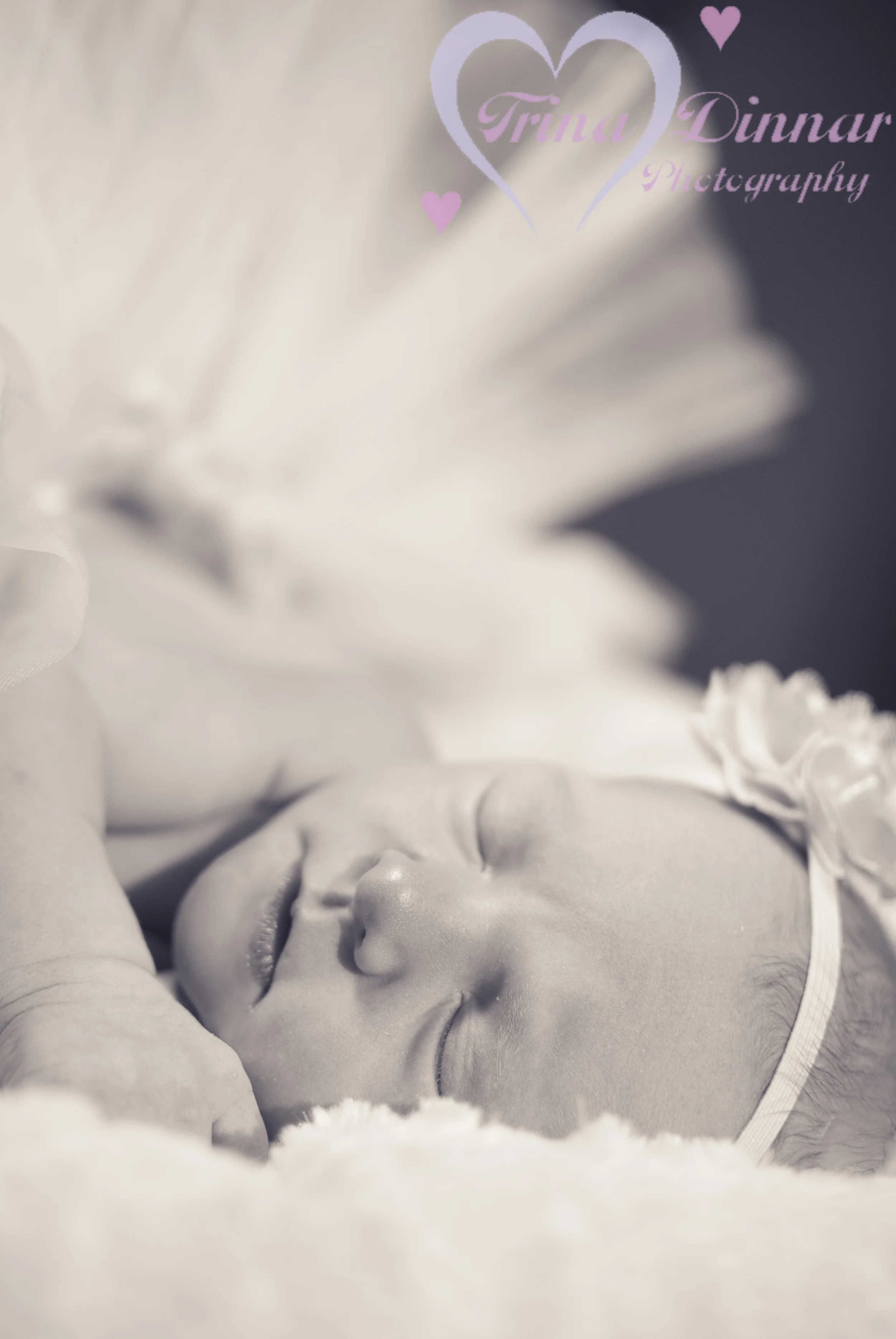 Passion to Profit: How I Turned My Love For Photography Into A Successful Business