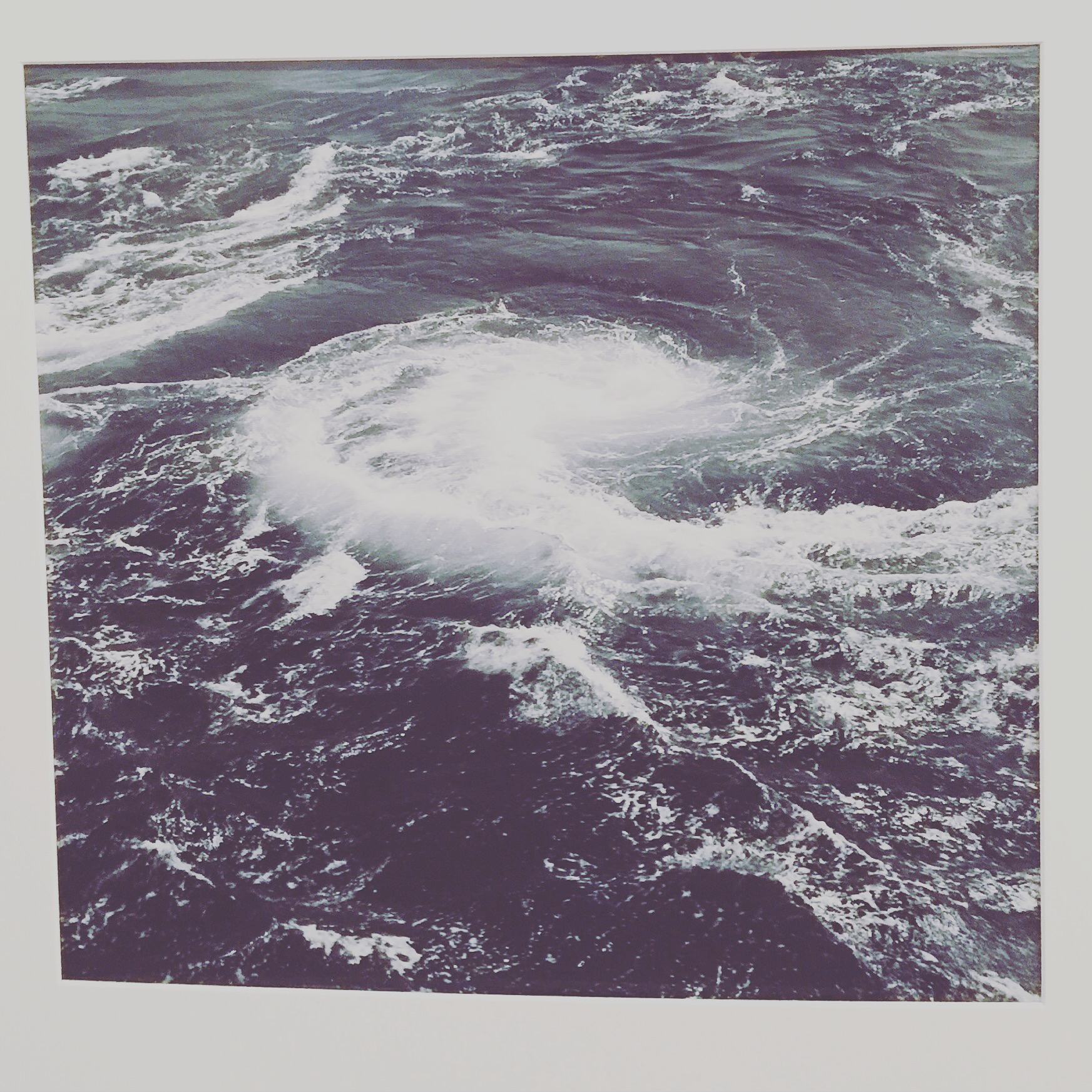 Image seen at the Yakushima Photo Festival Exhibition in Arles