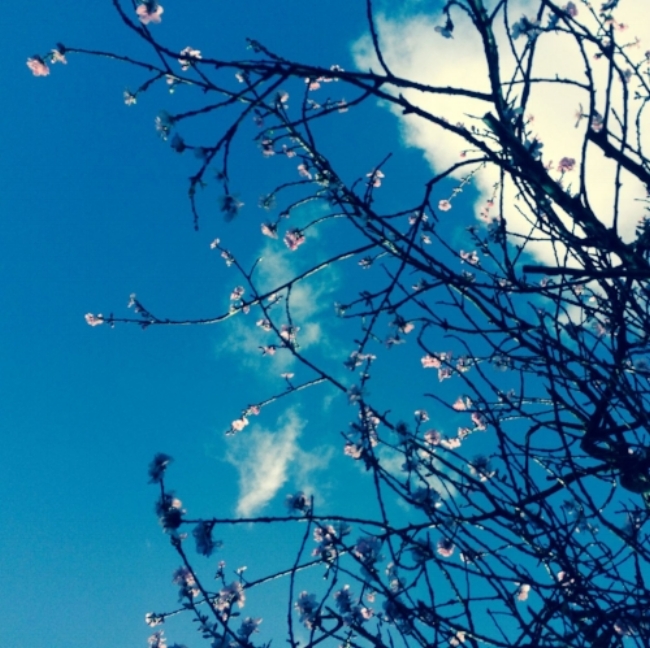Spring+Equinox Ritual.jpeg