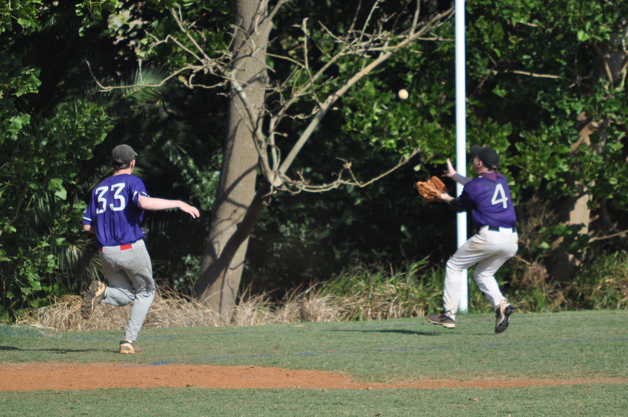 Boomers D1 v Bears - 1 Feb 2020