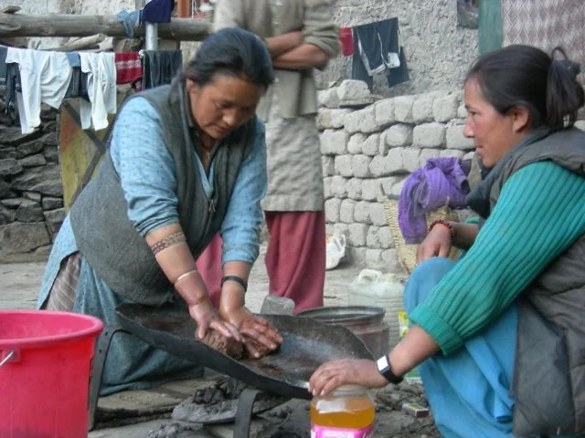 Squeezing the oil on a slanted metal tray. The oil is caught in a plastic jar.