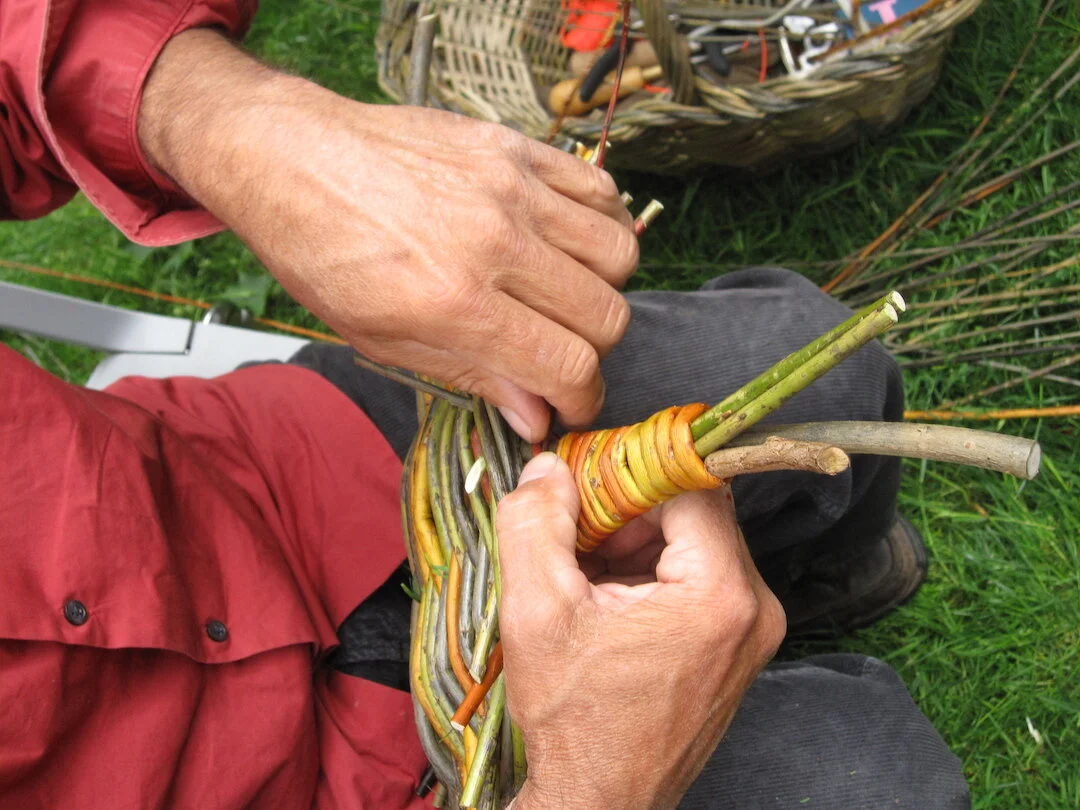 Josep Mercader weaving with willow. Vancouver, BC, 2014