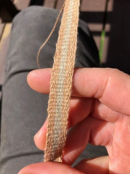 Warp-faced natural colored cotton band in progress, brown-green-brown lengthwise stripe, about 1/2 inch wide, held in the sun against my fingers (this was in May, when life was sunnier.)
