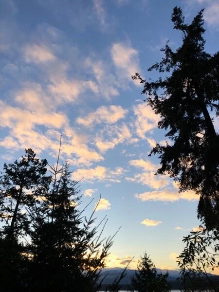 Clouds and tree silhouettes over the bay and the low, distant mountains. A beautiful evening.