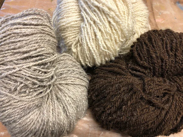 Three shades of Navajo churro fiber, from the large stash I acquired thanks to Amelia Garripoli, spun and plied on my Louët S10 wheel.