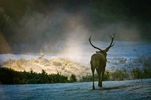 blogimage.12.3B.13.jpg