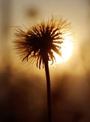 blogimage.2.10.14.jpg