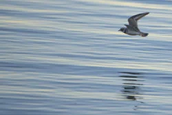 blogimage.2.18.14.jpg