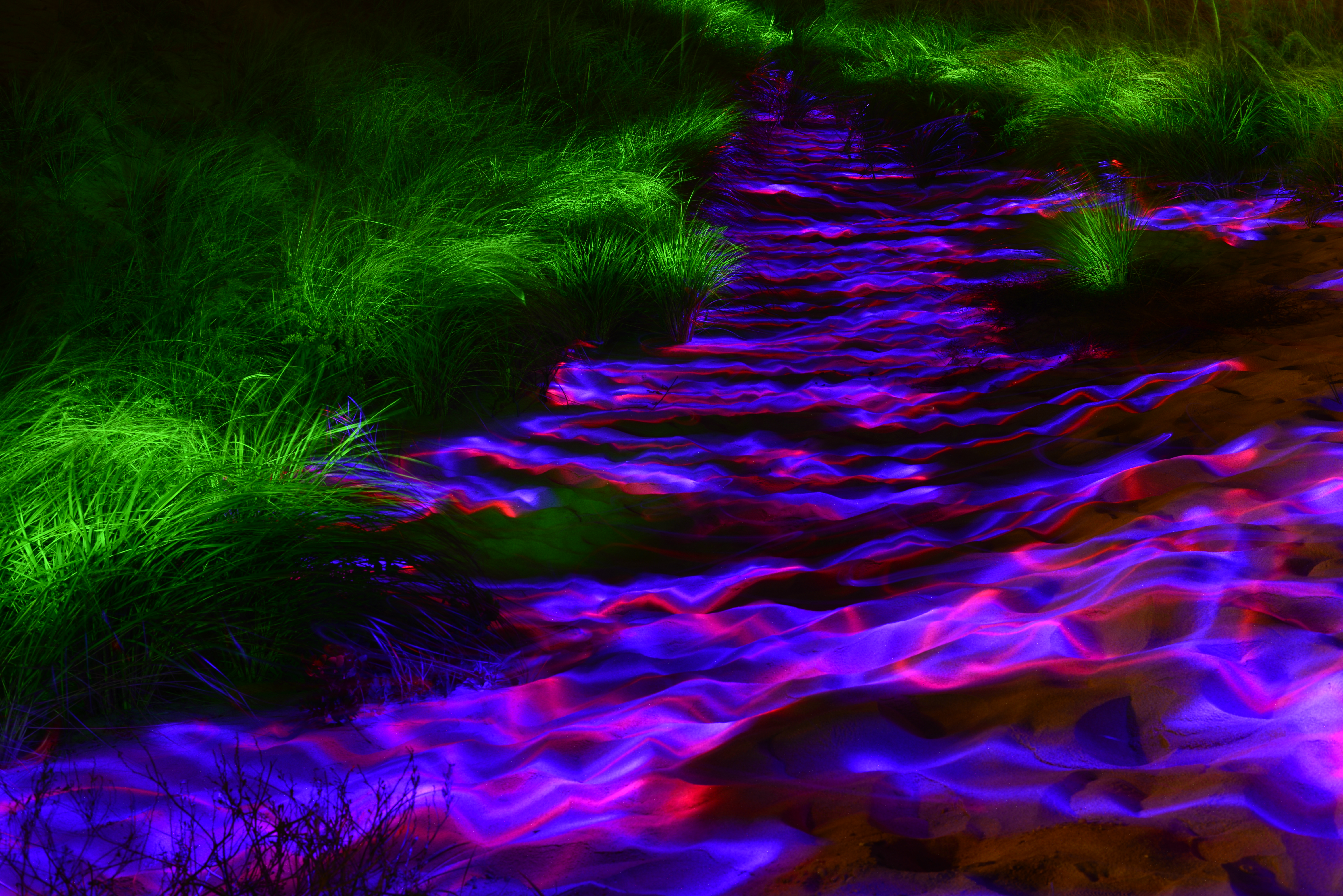 dunes of montauk.JPG