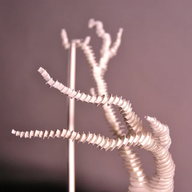 Paper Tree By Robby Cuthbert - Detail.jpg