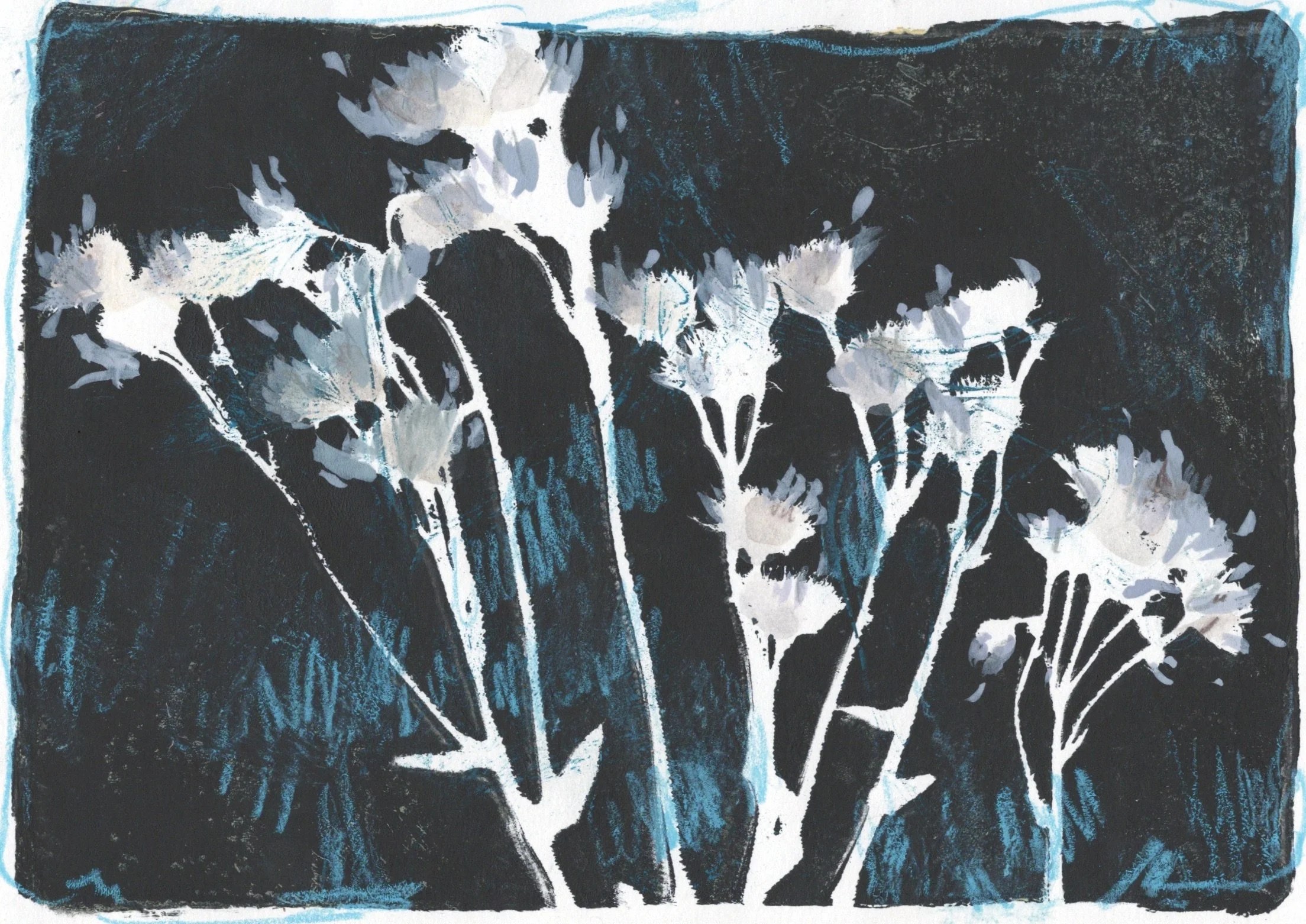 Midnight Pararie.jpeg