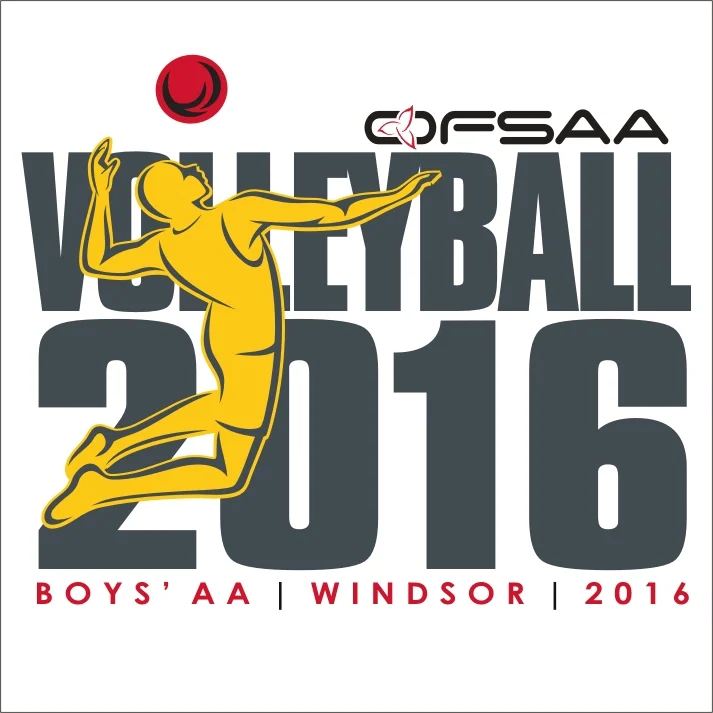 2016 Boys AA Volleyball logo white.jpg