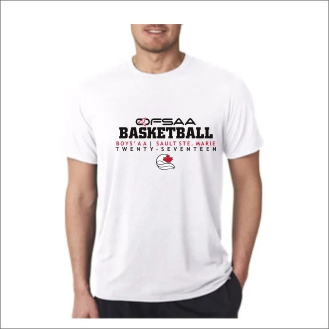 2017 Boys AA Basketball SS T single.jpg