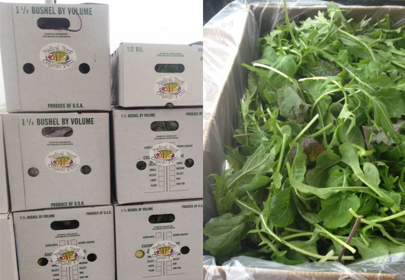 WholeSale-website pg.jpg