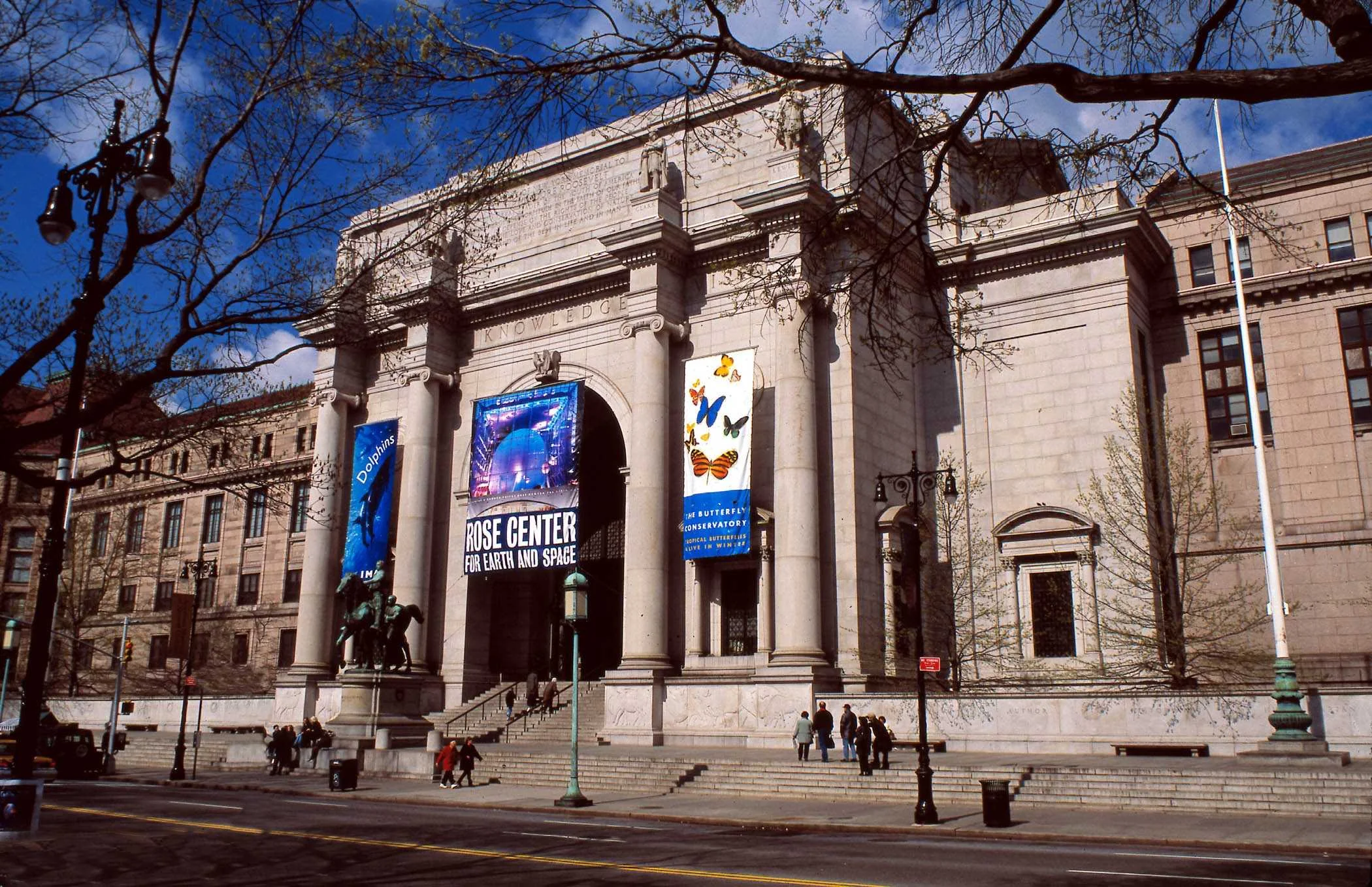 american_museum_natural_history-2.jpg