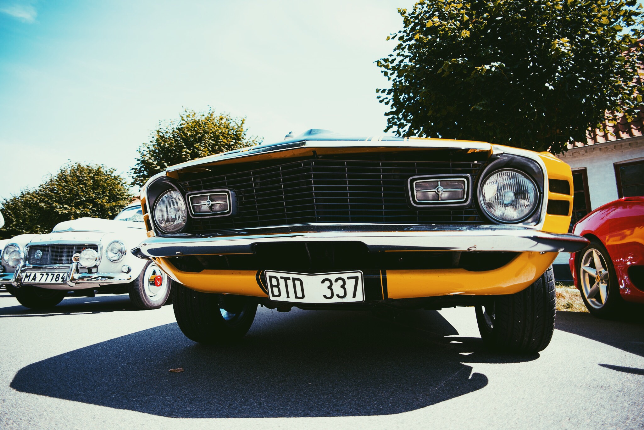 Mustang Boss (Nikon D610/ 20mm Voitländer 3.5)