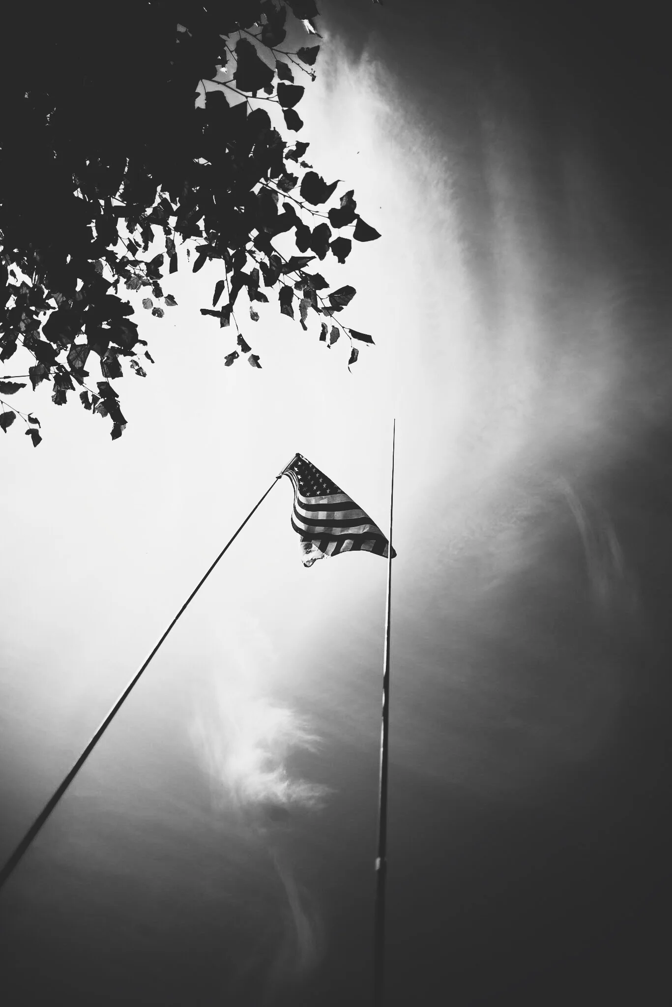 (Nikon D610/ 20mm Voitländer 3.5)
