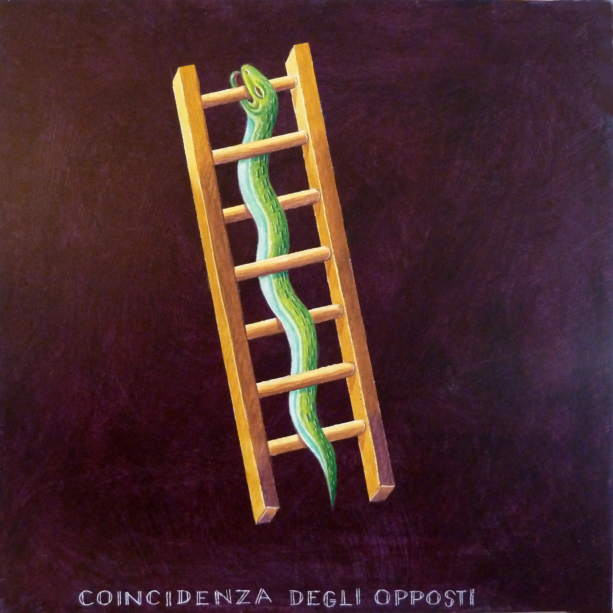 cincidenza degli opposti.jpg